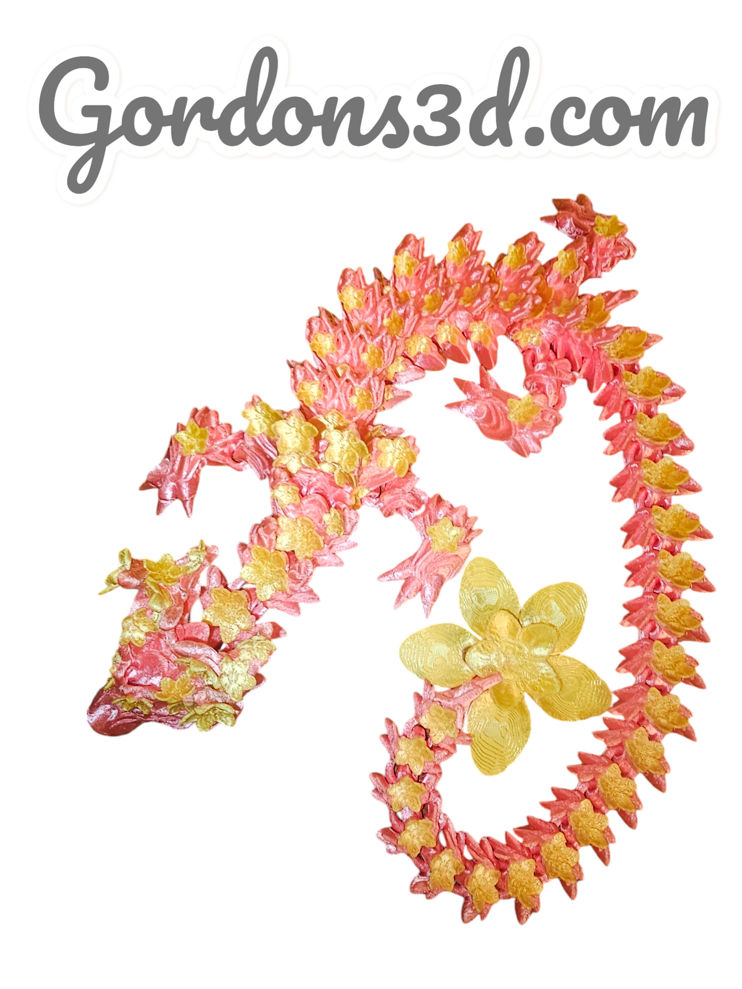 Adult Cherry Blossom Dragon